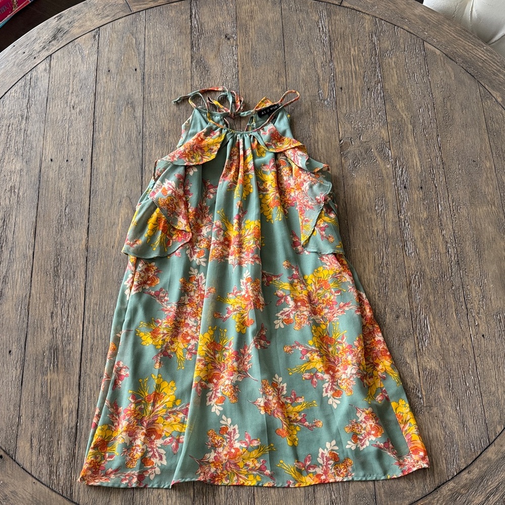 As U Wish Multicolor Floral Dress
